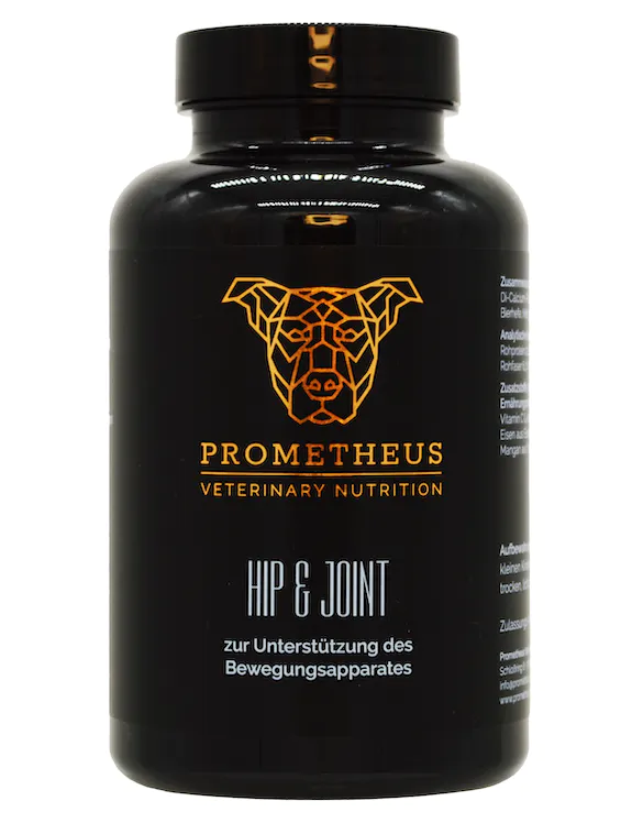 Prometheus "Hip&Joint" toidulisand liigestele 120tbl